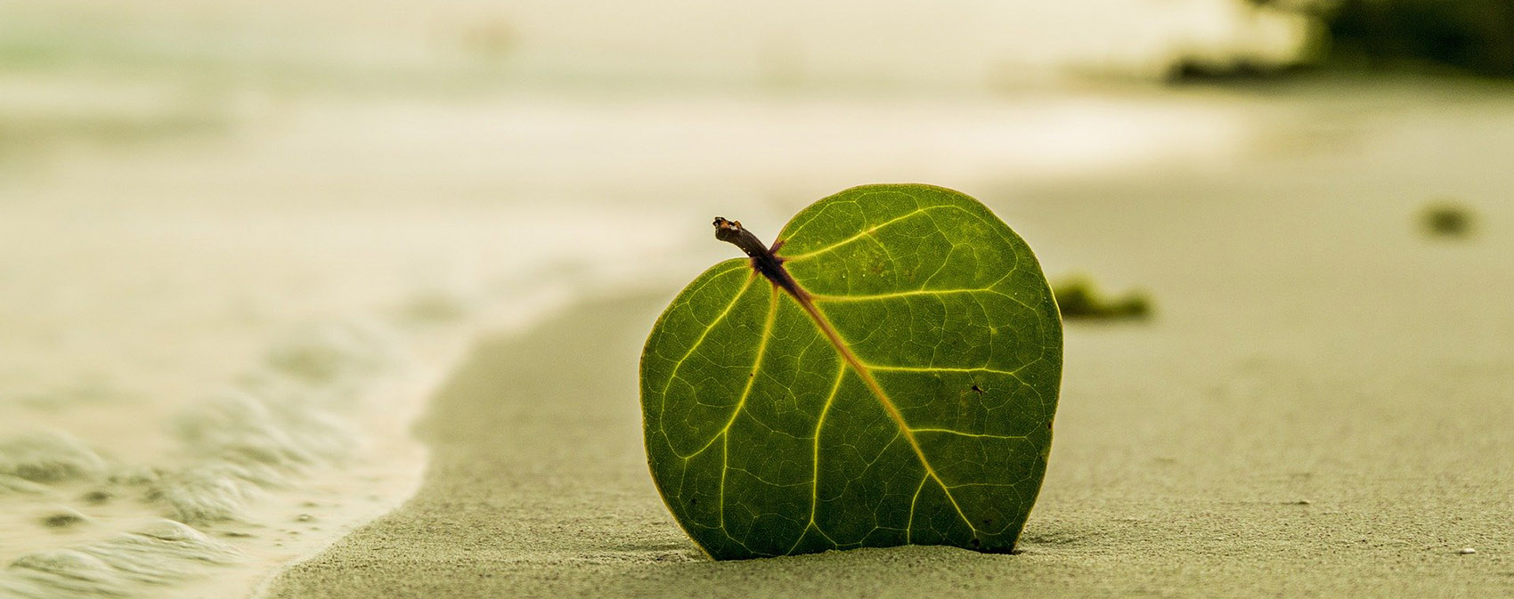 table%20top%20banner