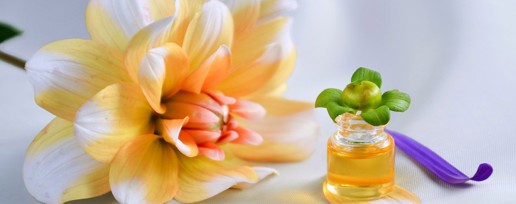 table%20top%20banner