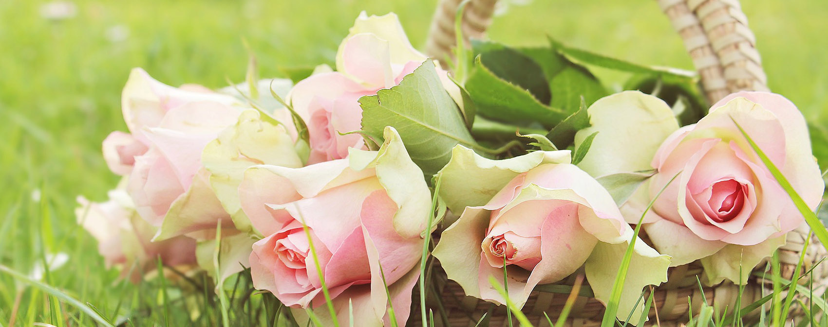 table%20top%20banner