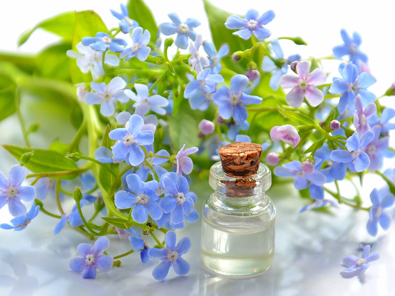 service aromatherapy800